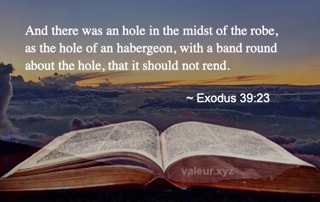 Exodus 39:23