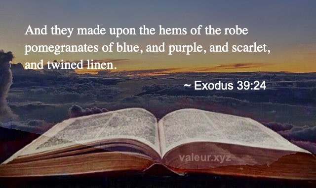 Exodus 39:24