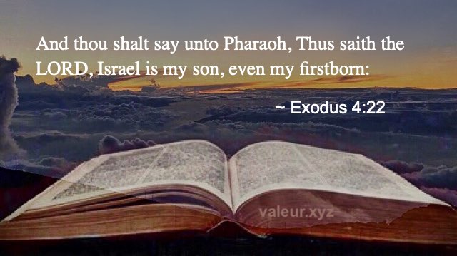 Exodus 4:22