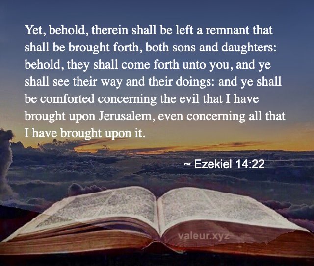 Ezekiel 14:22