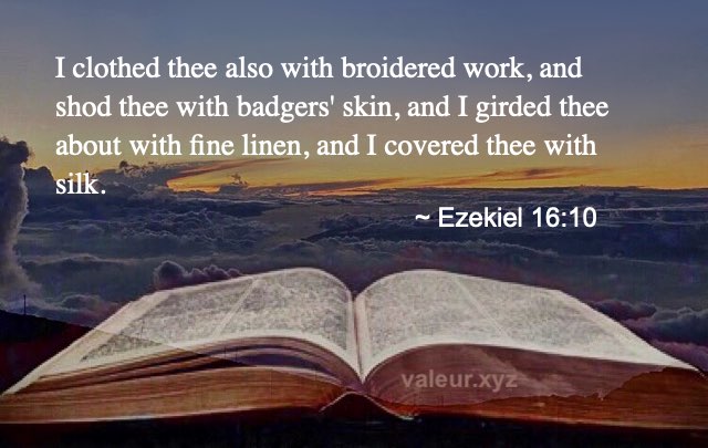 Ezekiel 16:10