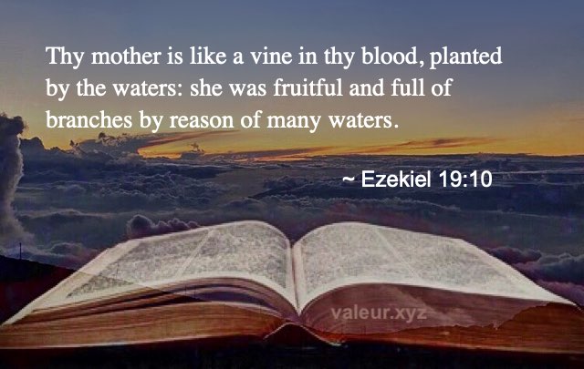 Ezekiel 19:10