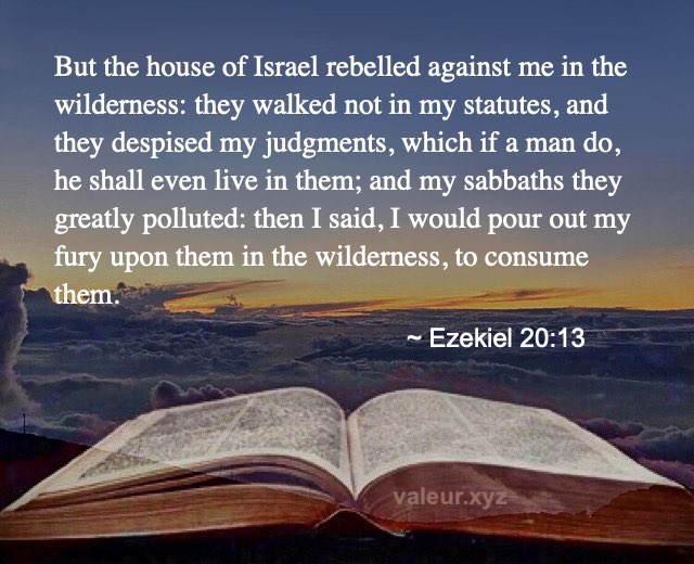 Ezekiel 20:13