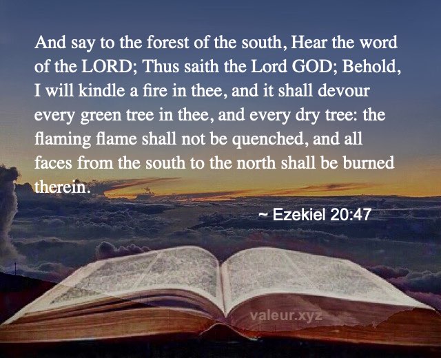Ezekiel 20:47