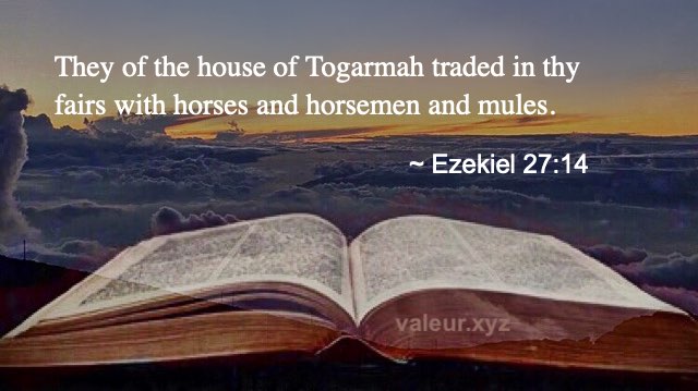 Ezekiel 27:14