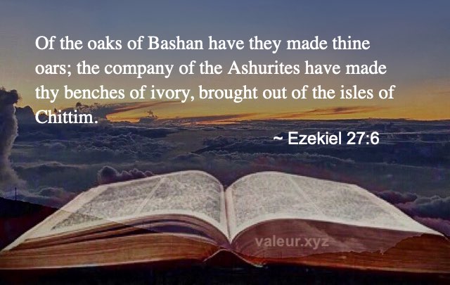 Ezekiel 27:6