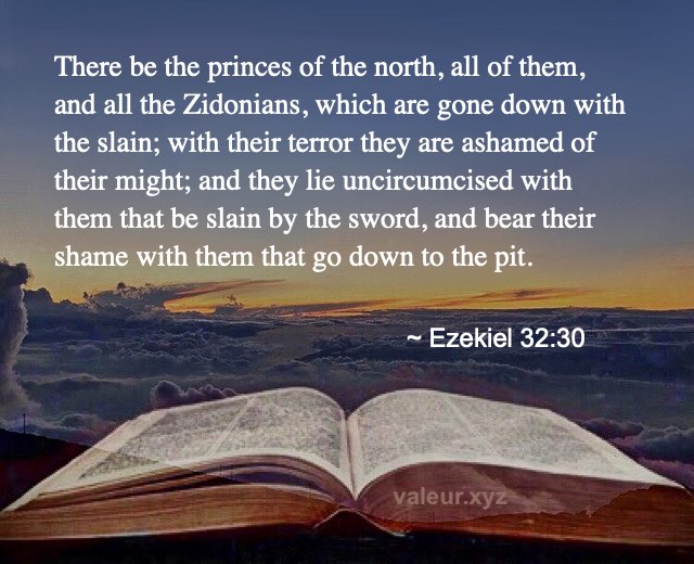 Ezekiel 32:30