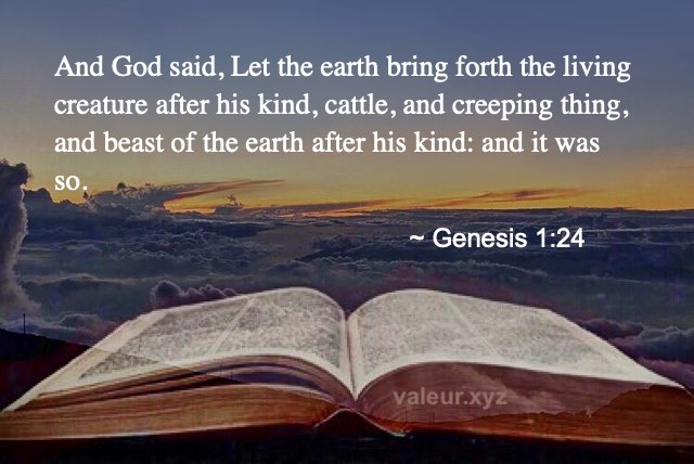 Genesis 1:24