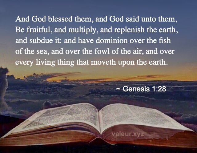 Genesis 1:28