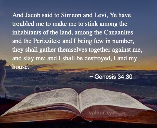 Genesis 34:30