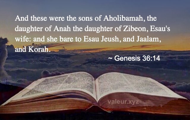 Genesis 36:14