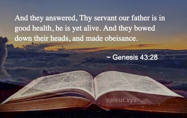 Genesis 43:28
