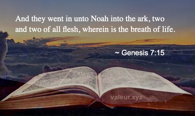 Genesis 7:15 Genesis 7:15
