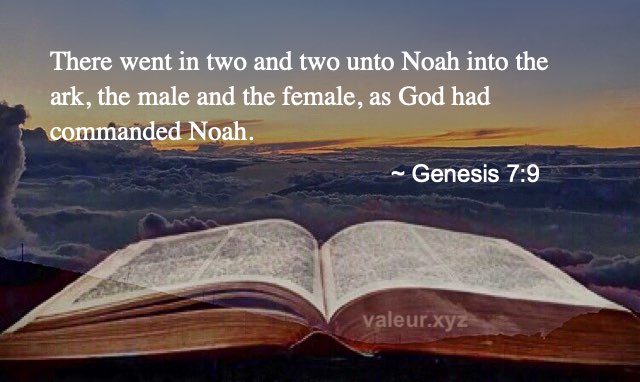 Genesis 7:9