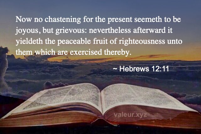 Hebrews 12:11