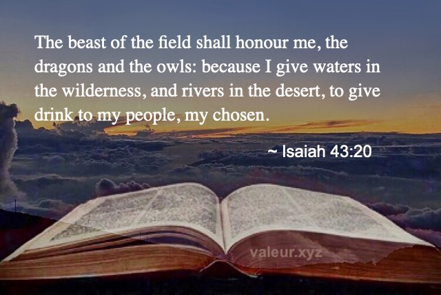 Isaiah 43:20