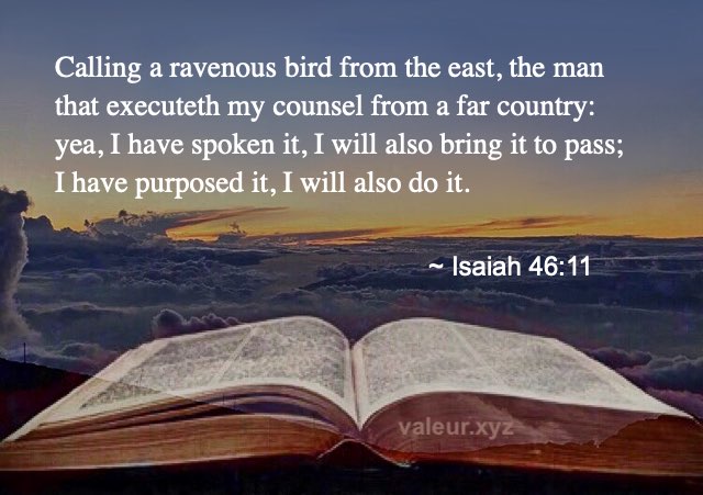 Isaiah 46:11 Isaiah 46:11