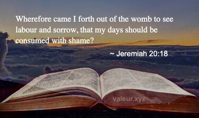 Jeremiah 20:18