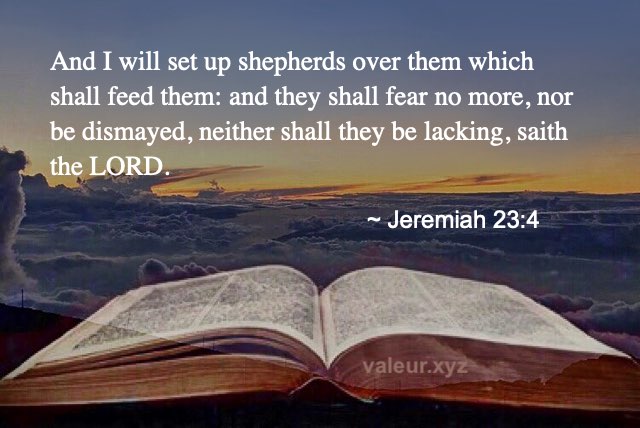 Jeremiah 23:4