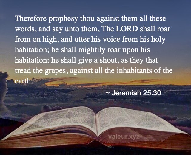 Jeremiah 25:30