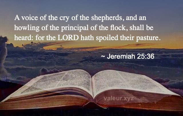 Jeremiah 25:36