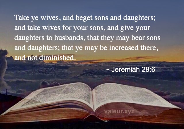Jeremiah 29:6