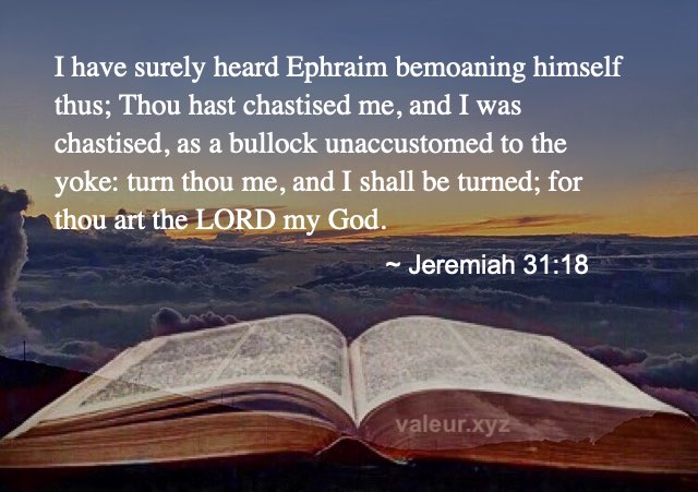 Jeremiah 31:18