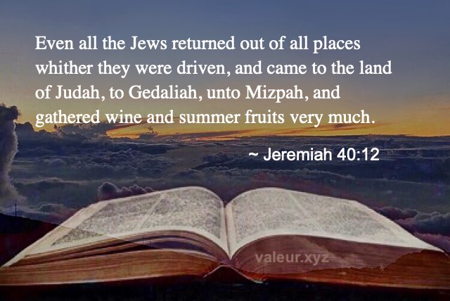 Jeremiah 40:12