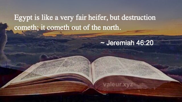 Jeremiah 46:20