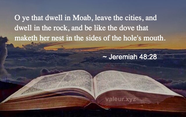 Jeremiah 48:28
