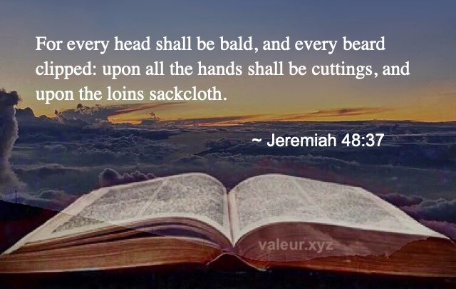 Jeremiah 48:37