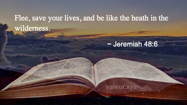 Jeremiah 48:6