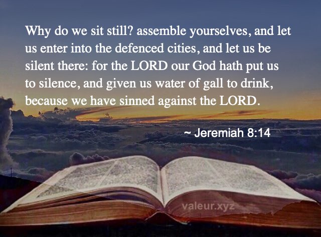 Jeremiah 8:14