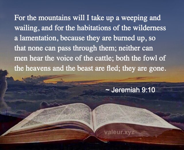 Jeremiah 9:10