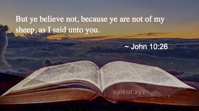John 10:26