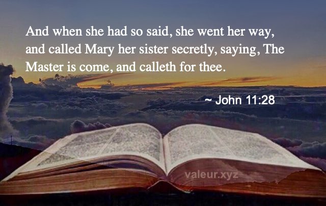 John 11:28