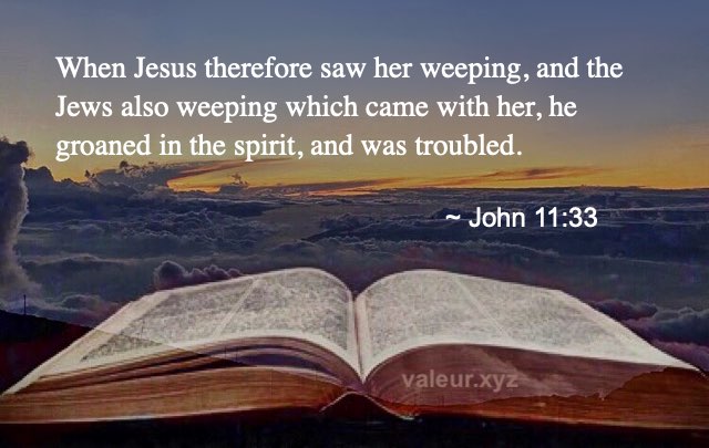 John 11:33