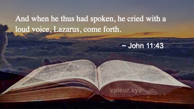 John 11:43