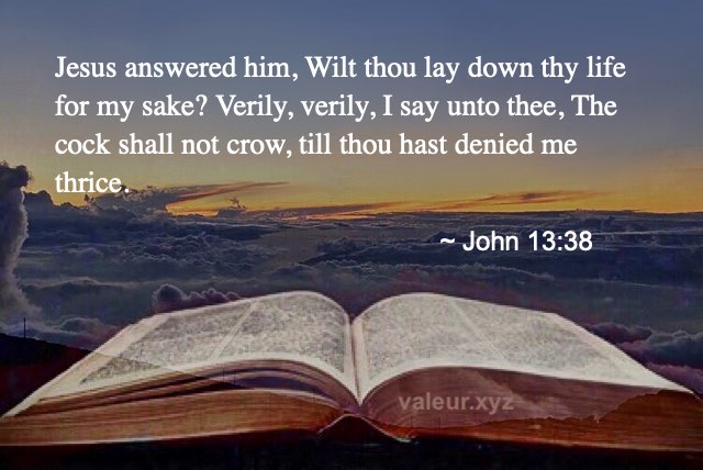 John 13:38