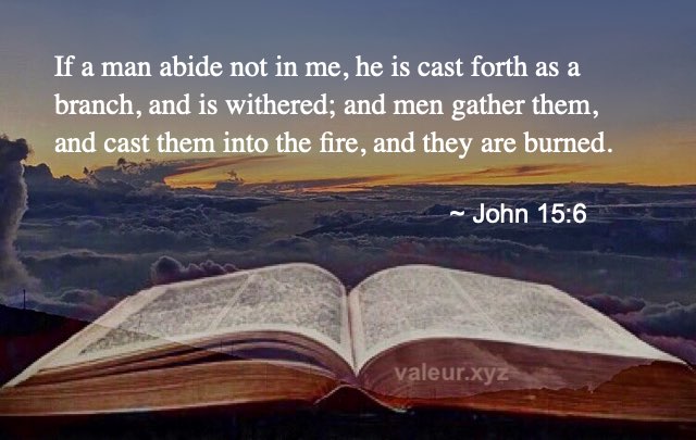 John 15:6