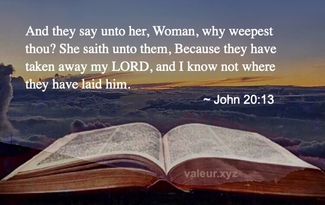 John 20:13 John 20:13