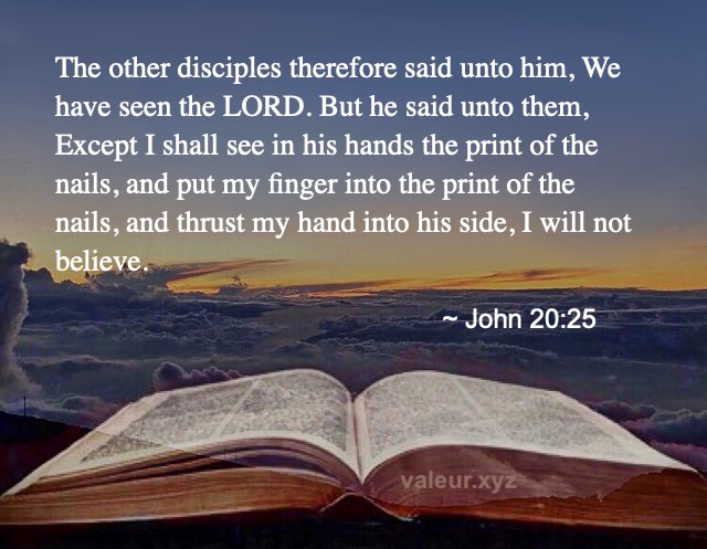 John 20:25 John 20:25