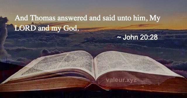 John 20:28 John 20:28