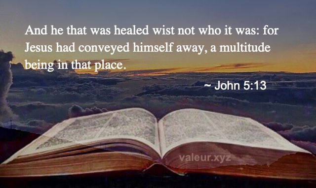 John 5:13 John 5:13