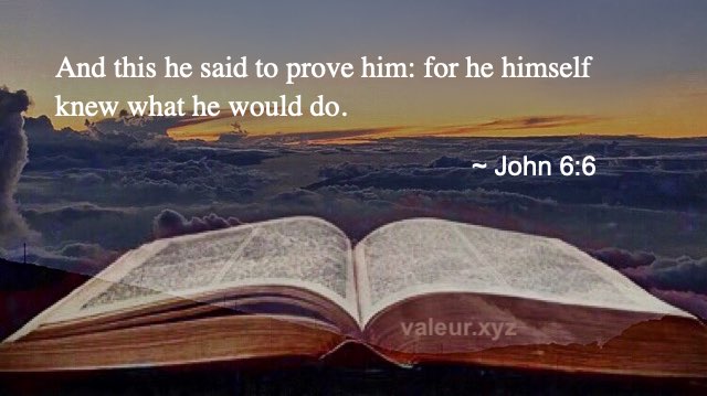 John 6:6