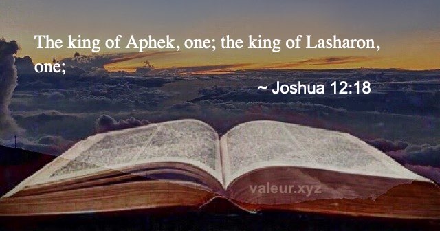 Joshua 12:18