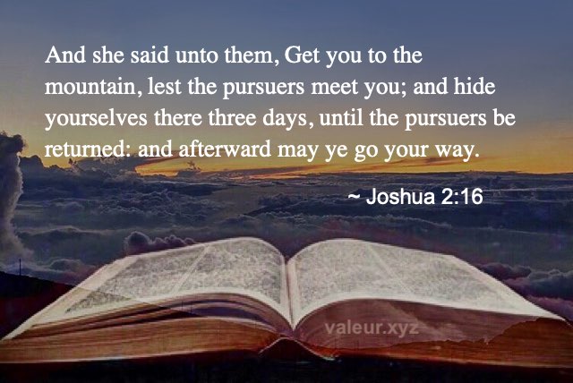 Joshua 2:16