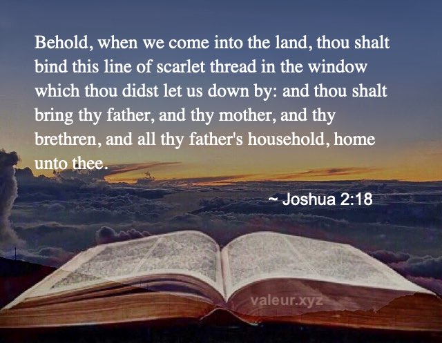 Joshua 2:18 Joshua 2:18
