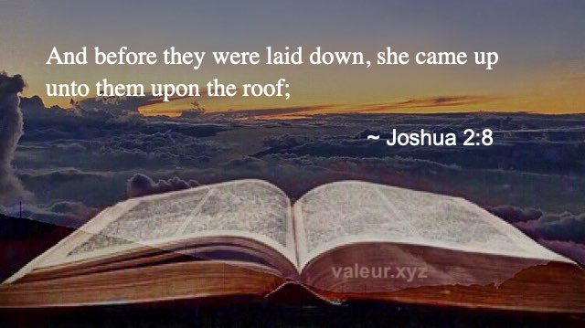 Joshua 2:8 Joshua 2:8