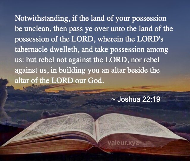 Joshua 22:19